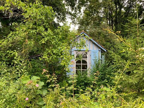 BLAUES H&Auml;USCHEN IM GR&Uuml;NEN