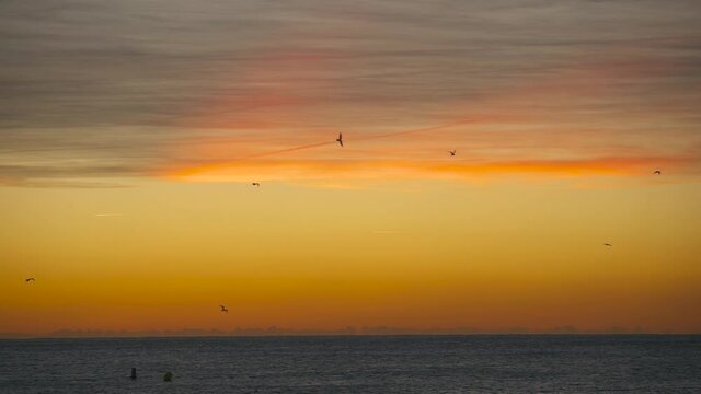 Silhouette birds flying across a orange sky of the Mediterranean sea at sunrise, at Barcelona, Spain.