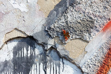 Hooligan smeared paint the walls of the old building. Landscape style. Grungy concrete surface with...