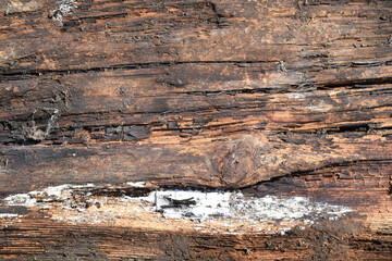 Background old rotten surface of the board. Wood texture. Place for advertising
