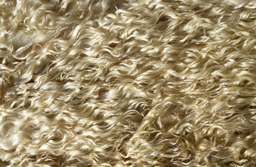 close-up woolly sheepskin on background
