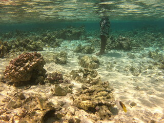 Touriste dans le lagon de Maupiti, Polynésie française	