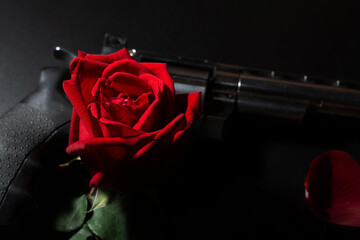 Gun and red rose on dark background