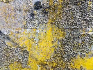 Abstract concrete, weathered with cracks and scratches. Landscape style. Grungy Concrete Surface. Great background or texture.