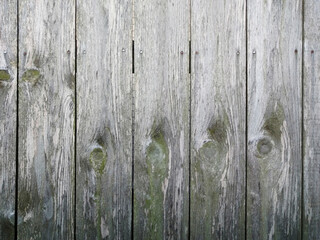 grey weathered wood fence wall background backdrop