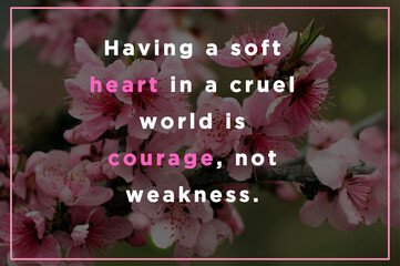 SOFT INSPIRATION