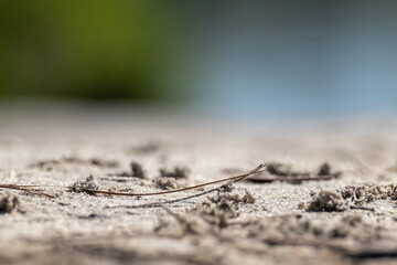 Sand super macro by the river, highly blurred sandy background. Natural textures with perspective view