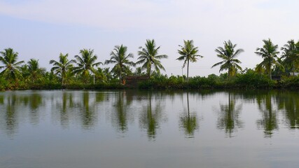 Fototapeta na wymiar India South, Kerala, Nedungolam, Paravur Lake, Kerala backwaters