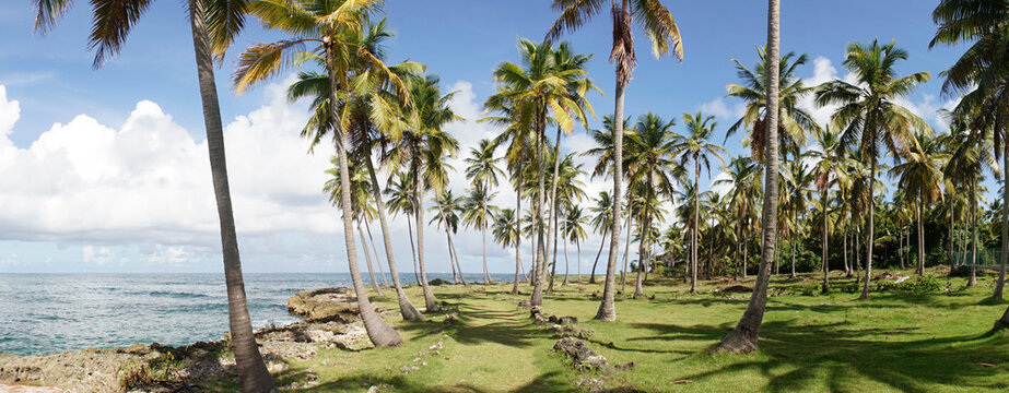 Tropical Beach and Ocean island setting in Samana, Dominican Republic. © Christopher