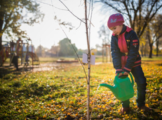 Serious little hardworking girl takes care of her future and watered a planted tree from a watering can in the autumn sunny park. Concept of caring for the future of ecology and children