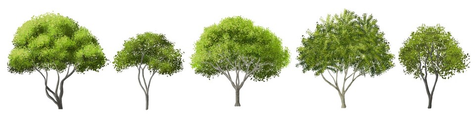 set of tree side view for landscape and architecture element
