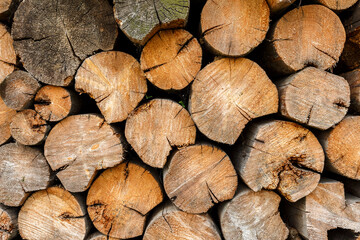 Round firewood stacked at woodpile. Wood background and texture.