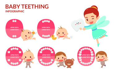 Baby Teething. Tooth Fairy. Period of eruption and shedding of baby's teeth. Flat design.