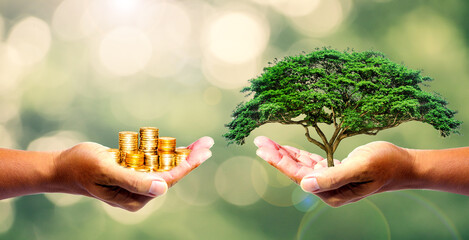 The left hand holds money. Right hand holding a tree There is a bokeh background. Design concept Nature or capitalism - obrazy, fototapety, plakaty