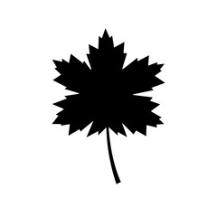 Black maple leaf, vector icon on white background