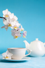 Fototapeta na wymiar Spring tea with orchid.