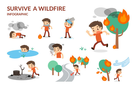 Survive a Wildfire. Forest fire. The danger of wildfire.