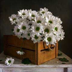 Still life with bouquets of blooming chrysanthemums. Interior. Vintage.