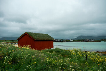 Fototapeta na wymiar Typical scandinavian red shed with beautiful green grassy roof. Amazing azure sea in the background. Natural meadow with high grass and flowers. Sommaroy island, northern Norway.