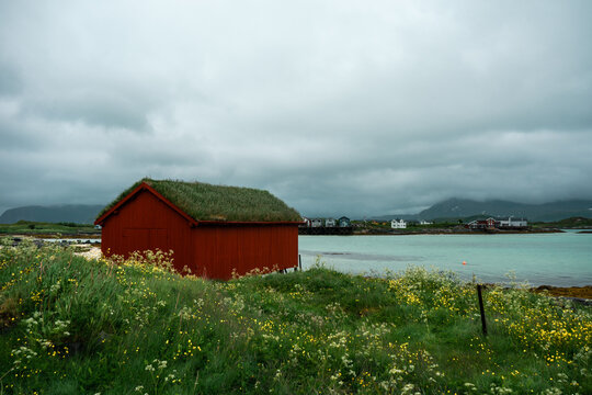 Typical scandinavian red shed with beautiful green grassy roof. Amazing azure sea in the background. Natural meadow with high grass and flowers. Sommaroy island, northern Norway.