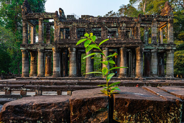 Tempel im Angkor Park, Cambodia,  - 363600488