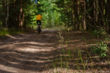 Obraz premium Healthy lifestyle - a cyclist rides a bicycle on a trail in a beautiful summer forest. Reunion with nature. Digital detox.