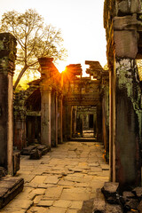 Tempel im Angkor Park, Cambodia,  - 363600894