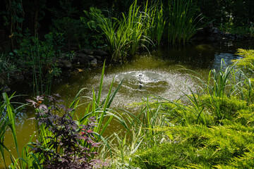 Beautiful umbrella fountain in garden pond among evergreens and aquatic plants on stone shore. Evergreen landscaped garden. Nature concept for design. Place for your text.