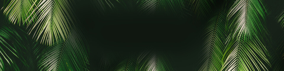 Tropical palm leaf banner