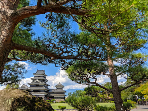 Matsumoto Castle through the Trees