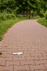 Fototapeta premium white medical mask lies on an empty road into the distance