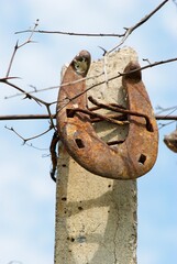 An old horseshoe fixed on a post.