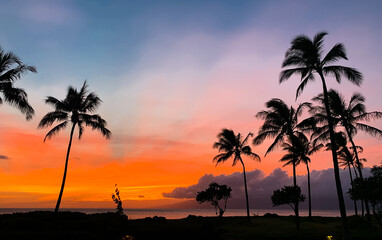 colorful sunset with palm tree in Maui Island, Hawaii
