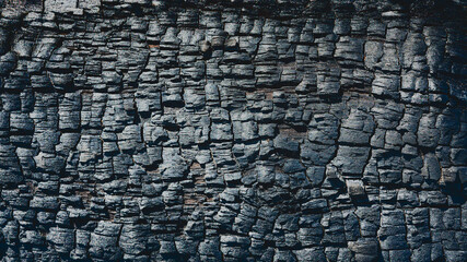 Surface of burnt wood. Mosaic-shaped texture. Charcoal.