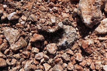 caterpillar walking on gravel road