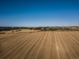 campi di grano sulle colline di Pesaro Marche Italia