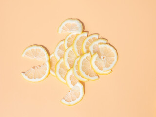 Slices of lemon isolated on light background