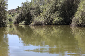 El Pardo, Rio Manzanares
