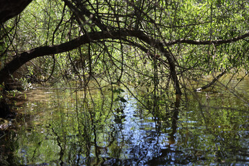 Obraz premium El Pardo, Rio Manzanares