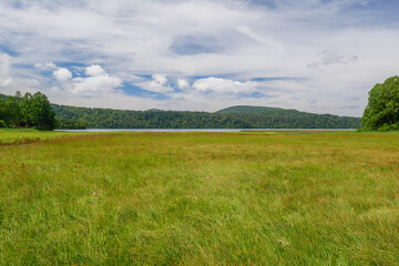 Obraz premium 尾瀬・大江湿原