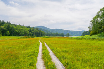 尾瀬・大江湿原