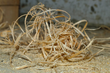 Fototapeta premium close-up - wooden sawdust and long shavings are lying on the concrete floor at the construction site - construction waste