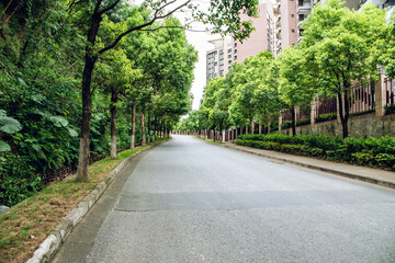 Fototapeta premium Panshan Highway, Huangshanlu Forest Park, Nansha, Guangzhou, China