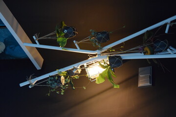 A white stand with plants hanging in it