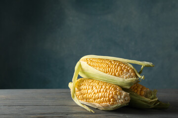 Fresh raw corn on gray wooden table, space for text
