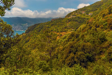 Fototapeta na wymiar A view north along the Monterosso to Vernazza path in summertime