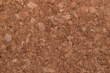 Macro of cork board 