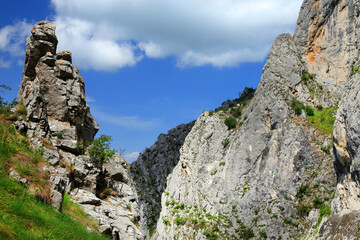 Spring landscape in Piatra Secuiului Mountain (1129m), Transylvania, Romania, Europe