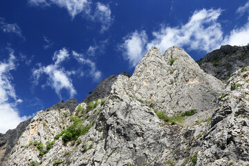 Spring landscape in Piatra Secuiului Mountain (1129m), Transylvania, Romania, Europe