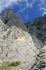 Spring landscape in Piatra Secuiului Mountain (1129m), Transylvania, Romania, Europe